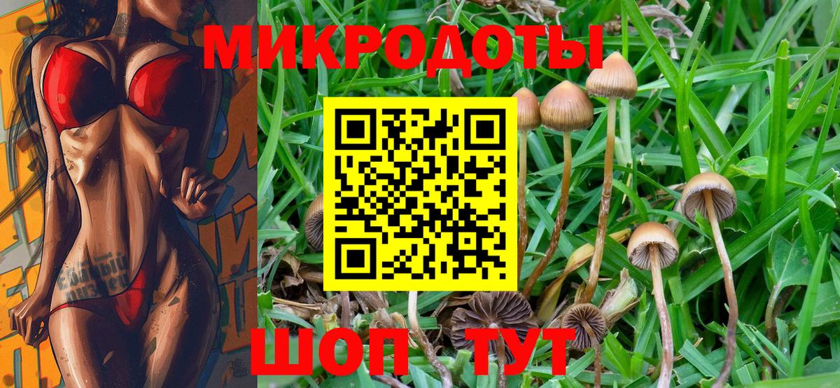 Галлюциногенные грибы Cubensis Чебаркуль